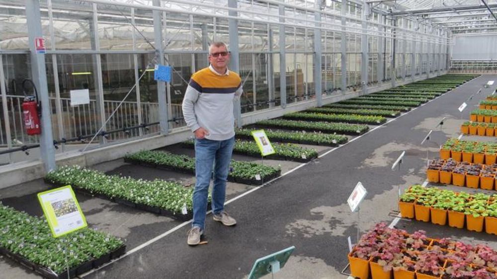 Éric Duclaud, directeur de l’exploitation horticole du lycée Angers Le Fresne et maître d’ouvrage de la nouvelle serre, ici dans la première chapelle. L’outil moderne est au service de trois missions : la pédagogie, la production et l’expérimentation. ©LKP Éric Duclaud, directeur de l’exploitation horticole du lycée Angers Le Fresne et maître d’ouvrage de la nouvelle serre, ici dans la première chapelle. L’outil moderne est au service de trois missions : la pédagogie, la production et l’expérimentation. ©LKP